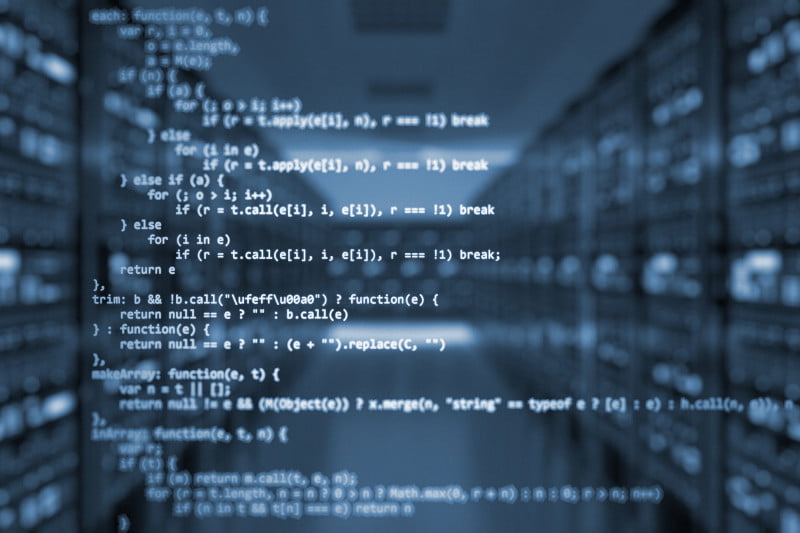 DataDolphin Website Services